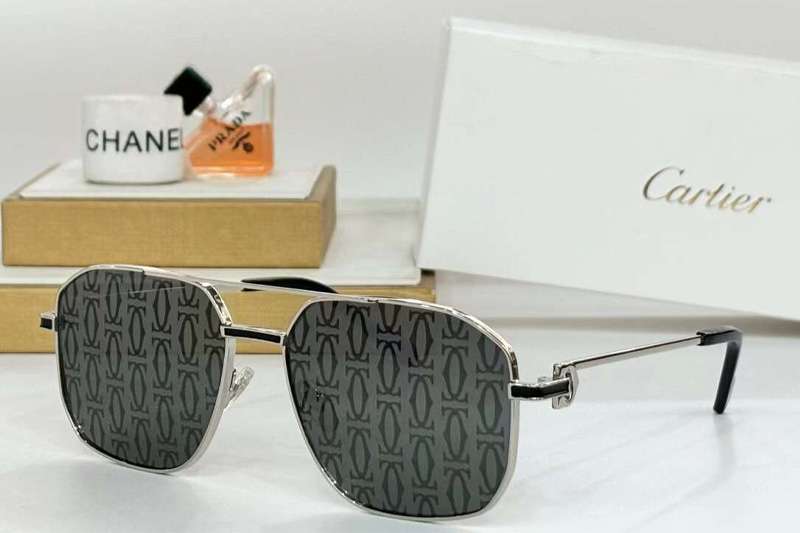 CT0333S Sunglasses Silver Gray Logo