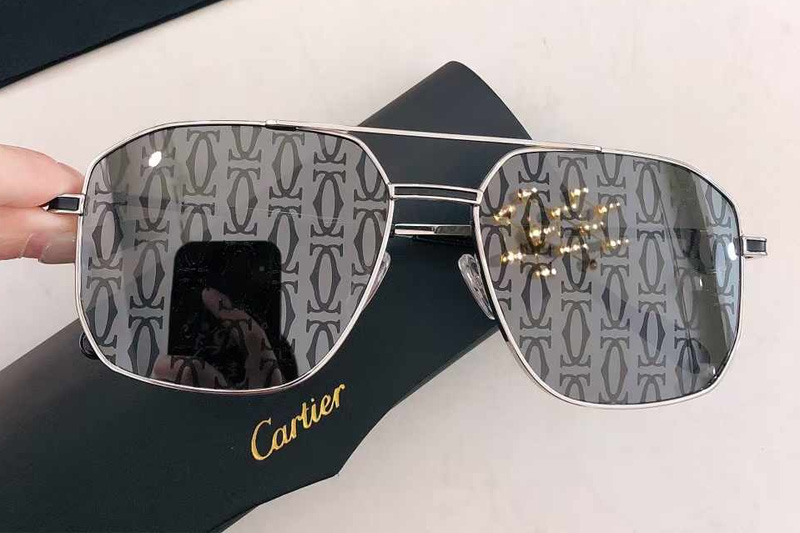 CT0333S Sunglasses Silver Gray Logo