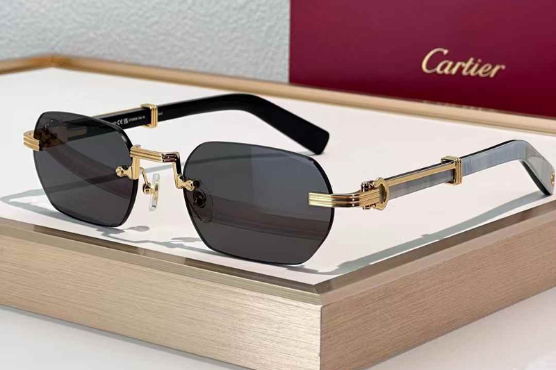 CT0362S Sunglasses Gold Gray Gray