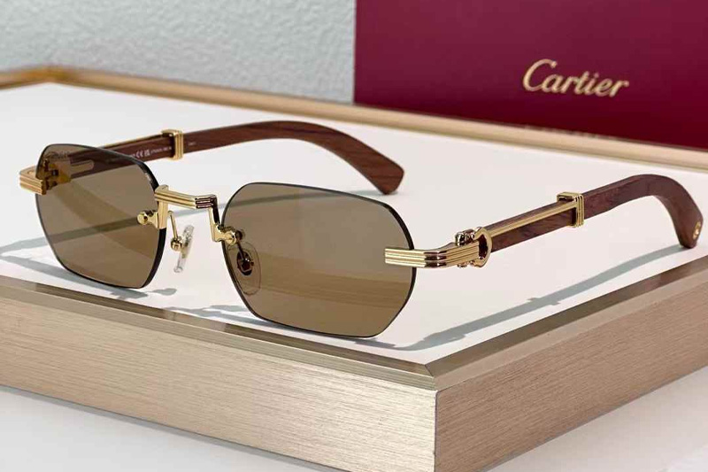 CT0362S Sunglasses Gold Red Brown
