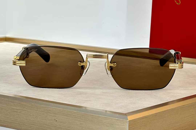 CT0362S Sunglasses Gold Red Brown