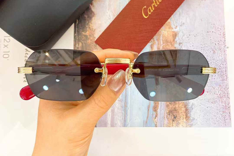 CT0362S Sunglasses Gold Red Gray
