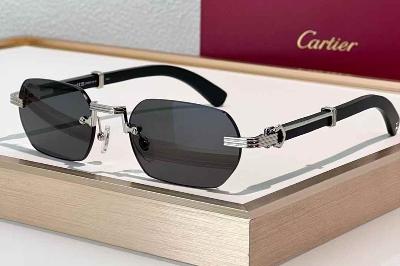 CT0362S Sunglasses Silver Black Gray