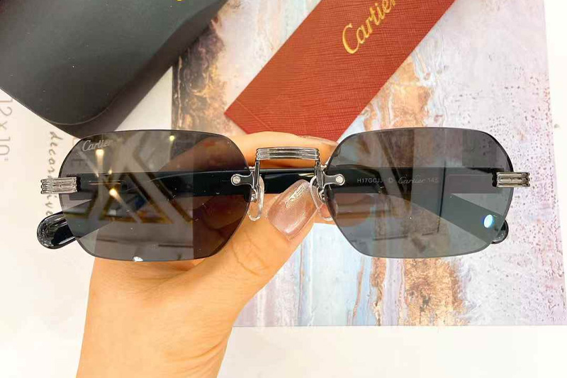 CT0362S Sunglasses Silver Black Gray