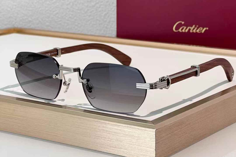 CT0362S Sunglasses Silver Red Gradient Gray