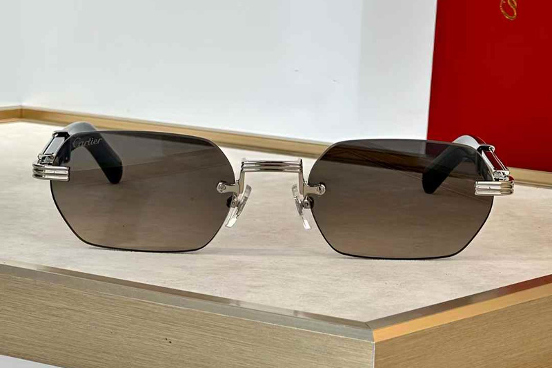 CT0362S Sunglasses Silver Red Gradient Gray