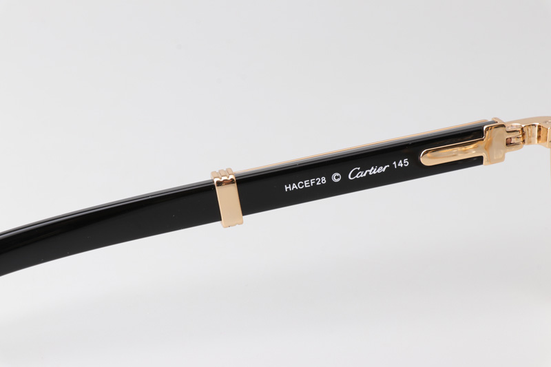 CT0363S Eyeglasses Gold White Black