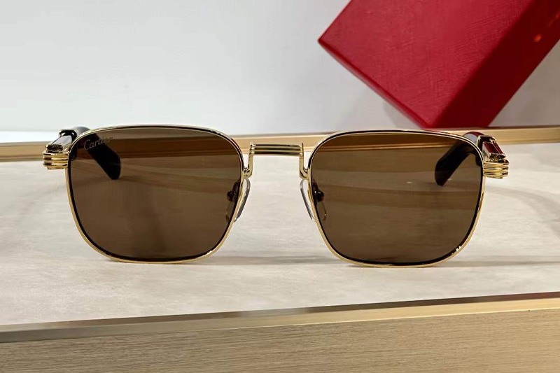 CT0363S Sunglasses Gold Red Brown