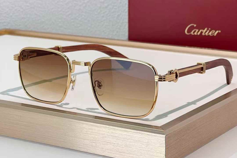CT0363S Sunglasses Gold Red Gradient Brown