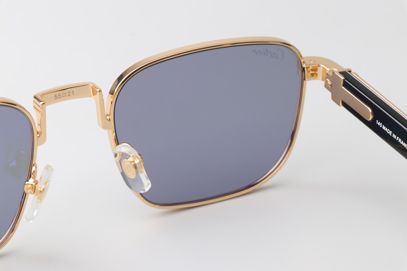 CT0363S Sunglasses Gold White Black Gray