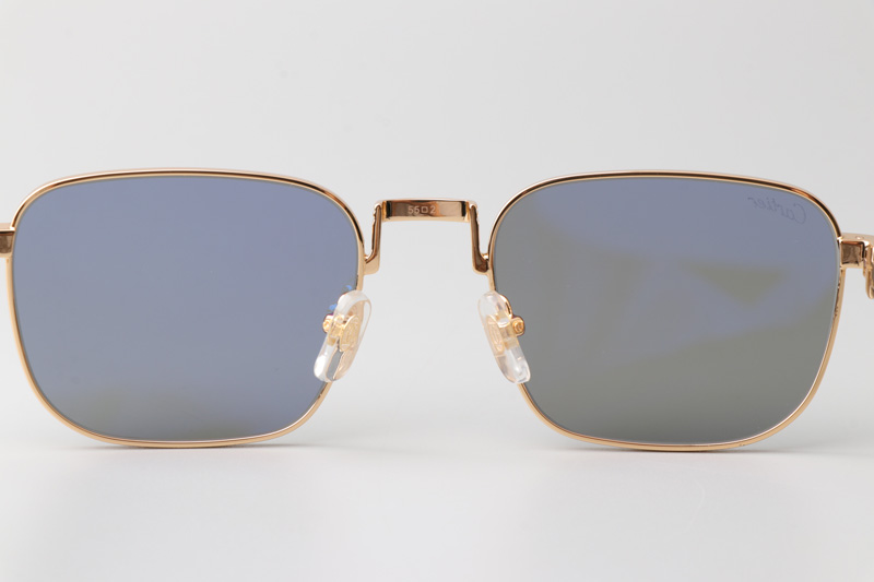 CT0363S Sunglasses Gold White Black Gray