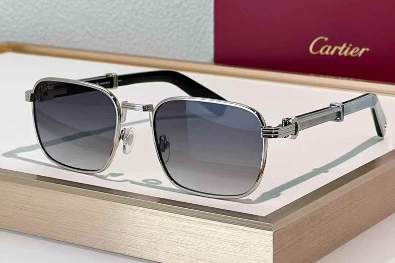 CT0363S Sunglasses Silver White Black Gradient Gray