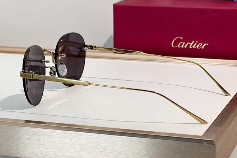 CT0393S Sunglasses Gold Gray