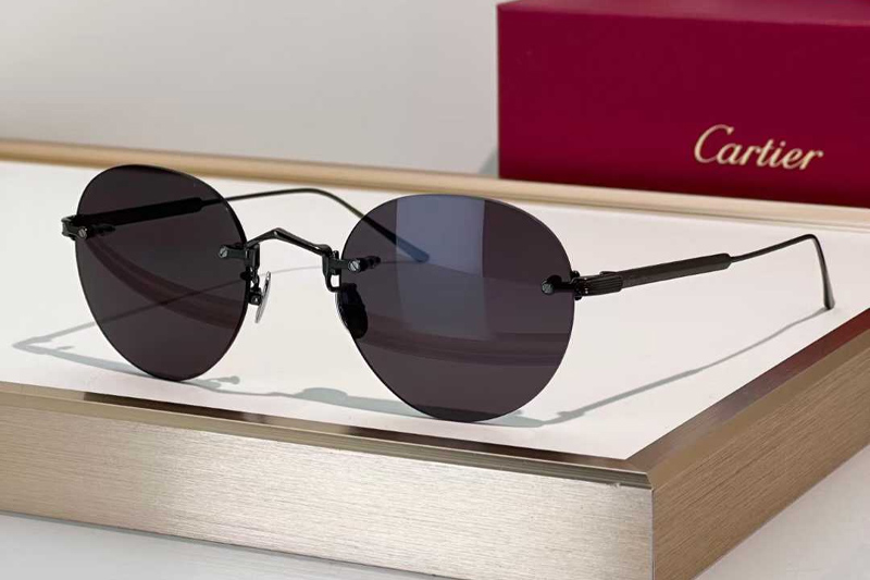 CT0393S Sunglasses Gunmetal Gray