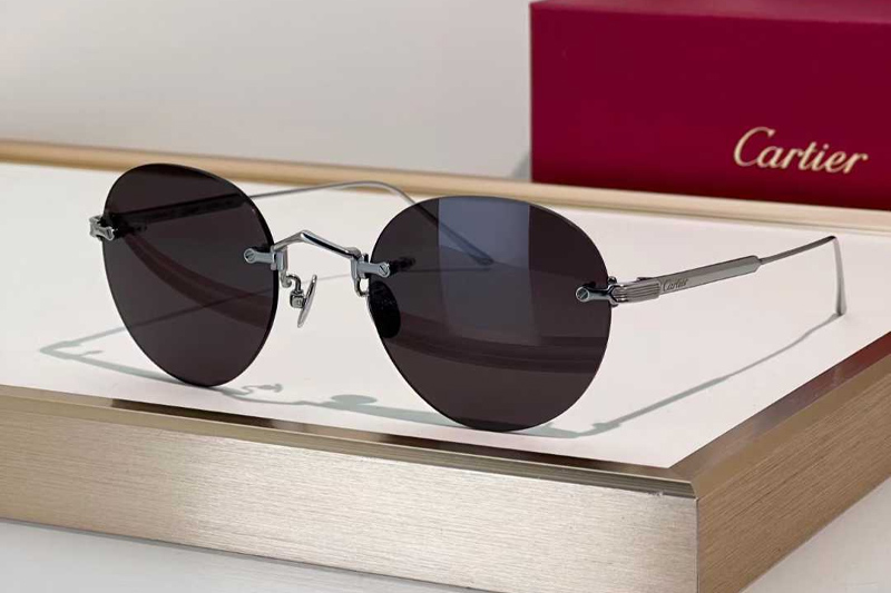 CT0393S Sunglasses Silver Gray