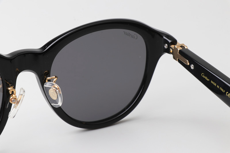 CT0395S Sunglasses Black Gold Gray