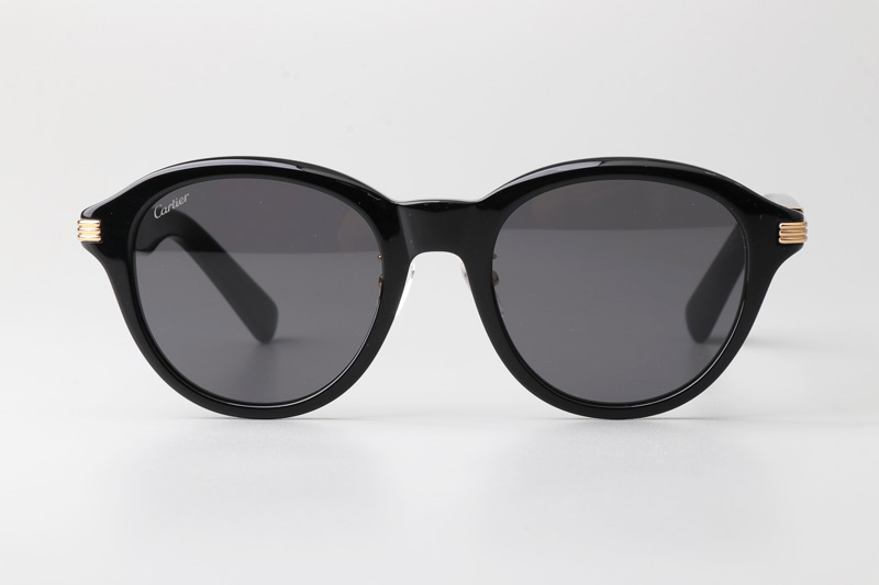 CT0395S Sunglasses Black Gold Gray