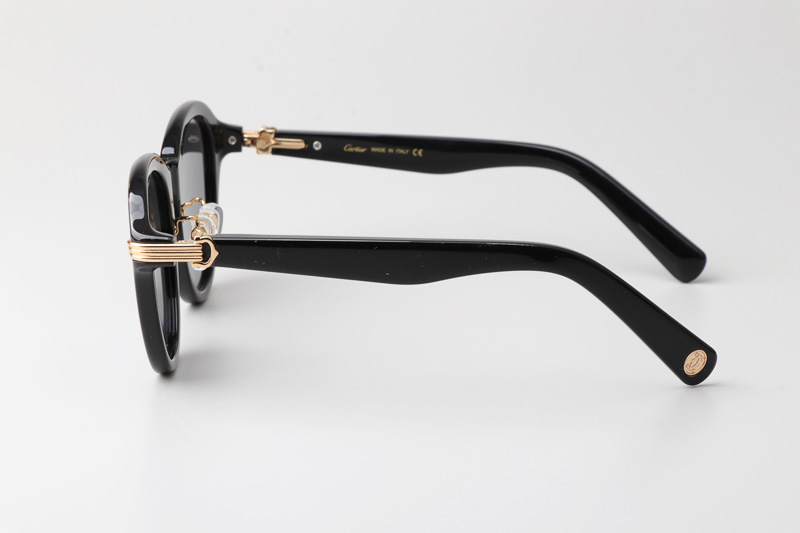 CT0395S Sunglasses Black Gold Gray