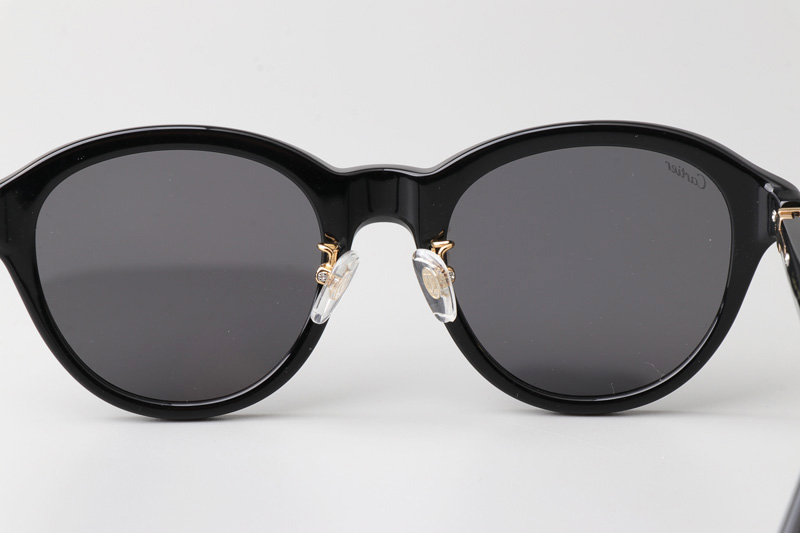 CT0395S Sunglasses Black Gold Gray