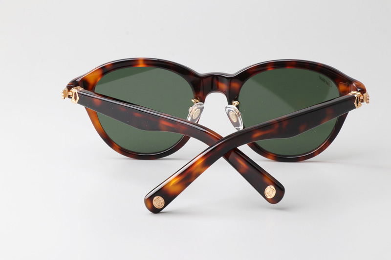 CT0395S Sunglasses Tortoise Green