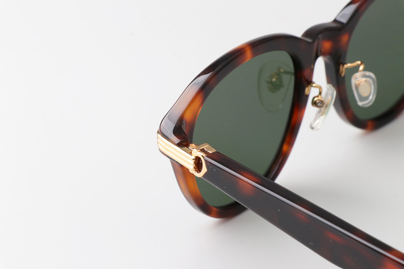 CT0395S Sunglasses Tortoise Green