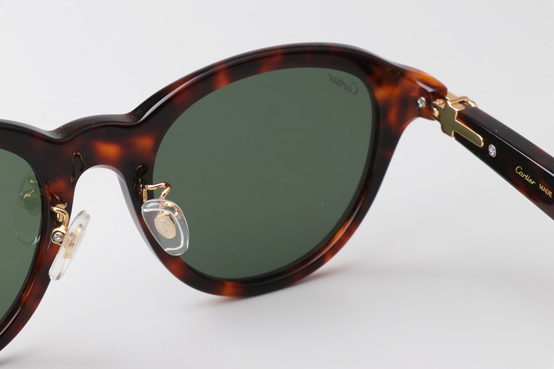 CT0395S Sunglasses Tortoise Green