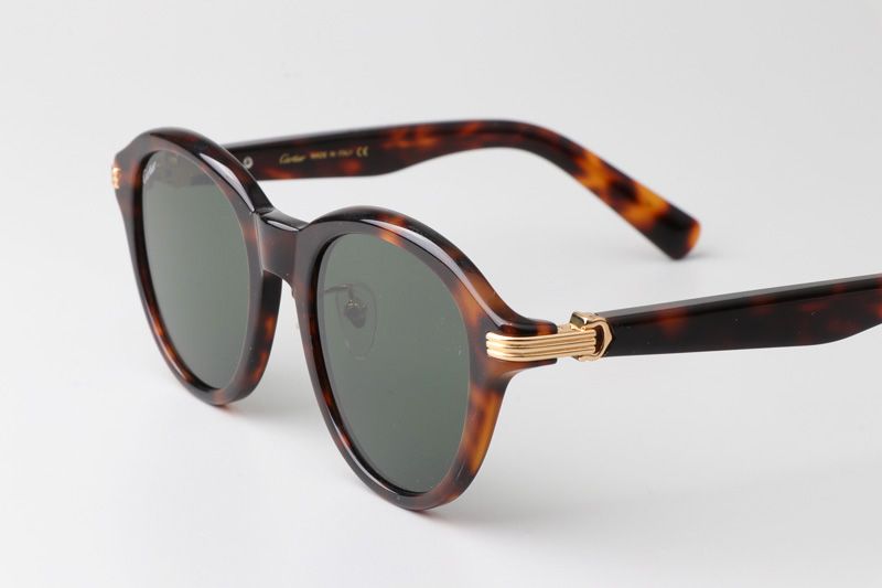 CT0395S Sunglasses Tortoise Green