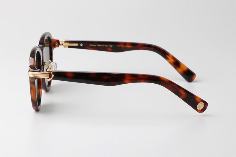 CT0395S Sunglasses Tortoise Green