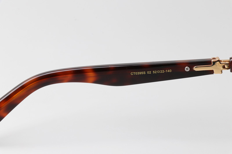 CT0395S Sunglasses Tortoise Green