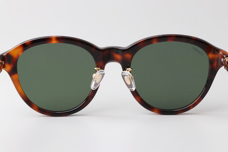 CT0395S Sunglasses Tortoise Green