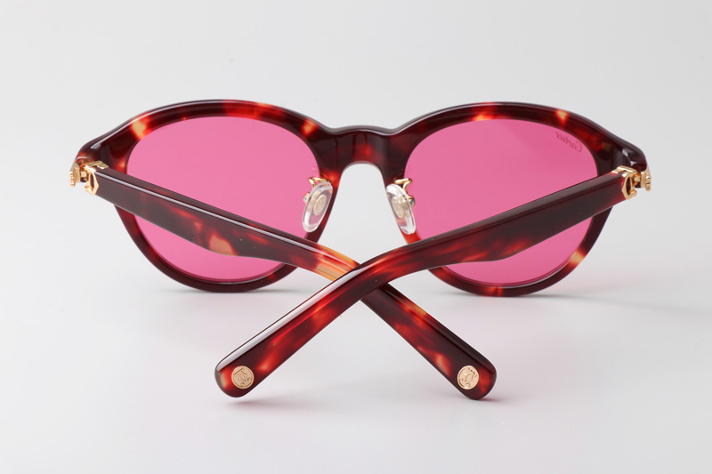 CT0395S Sunglasses Tortoise Pink