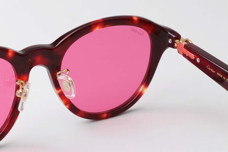 CT0395S Sunglasses Tortoise Pink