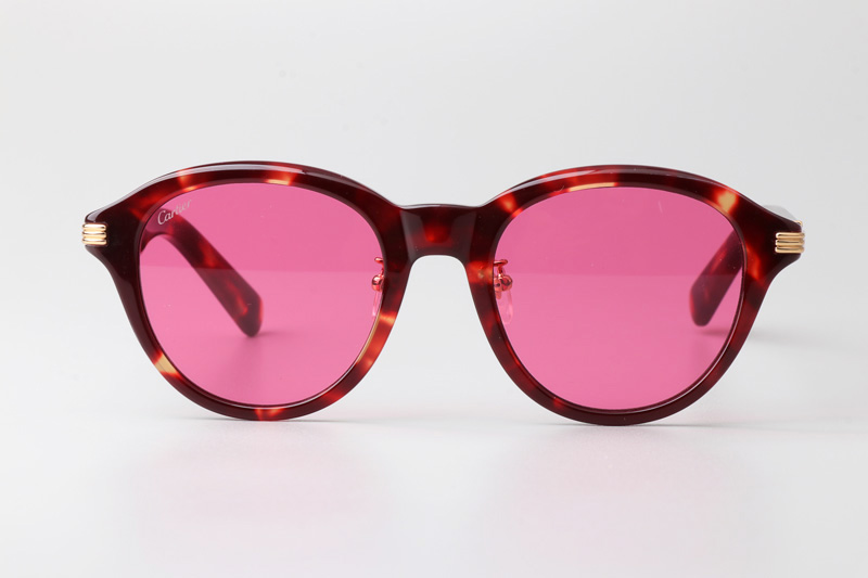 CT0395S Sunglasses Tortoise Pink