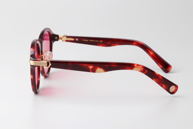 CT0395S Sunglasses Tortoise Pink