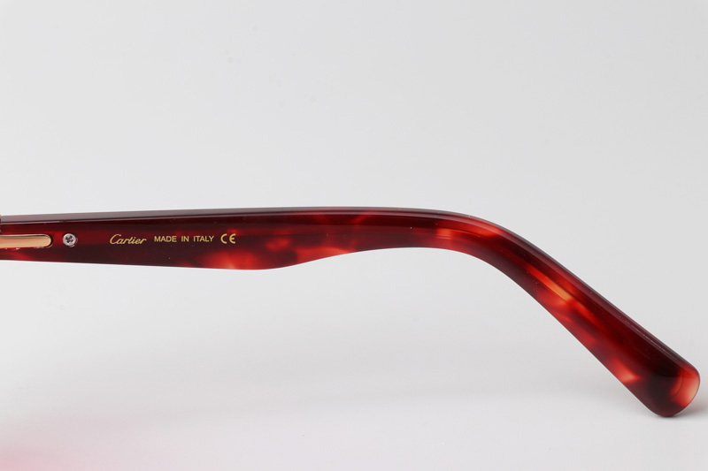 CT0395S Sunglasses Tortoise Pink