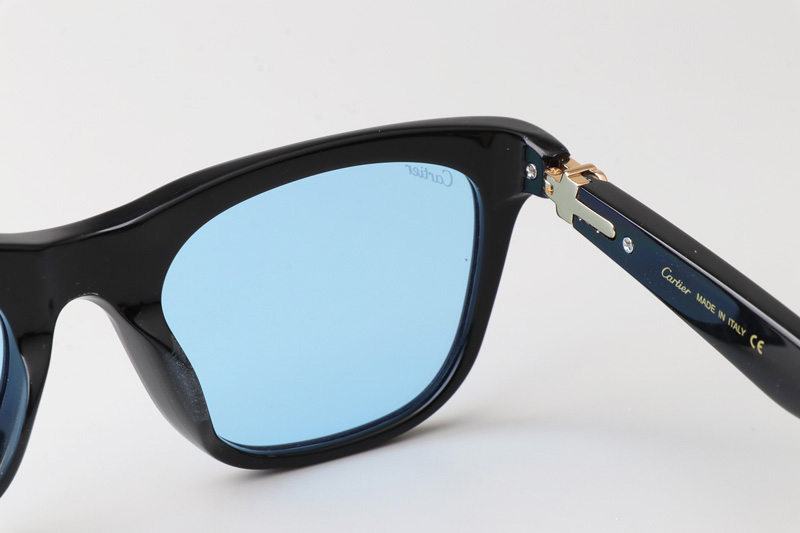 CT0396S Sunglasses Black Gold Blue