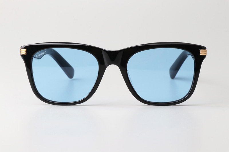 CT0396S Sunglasses Black Gold Blue