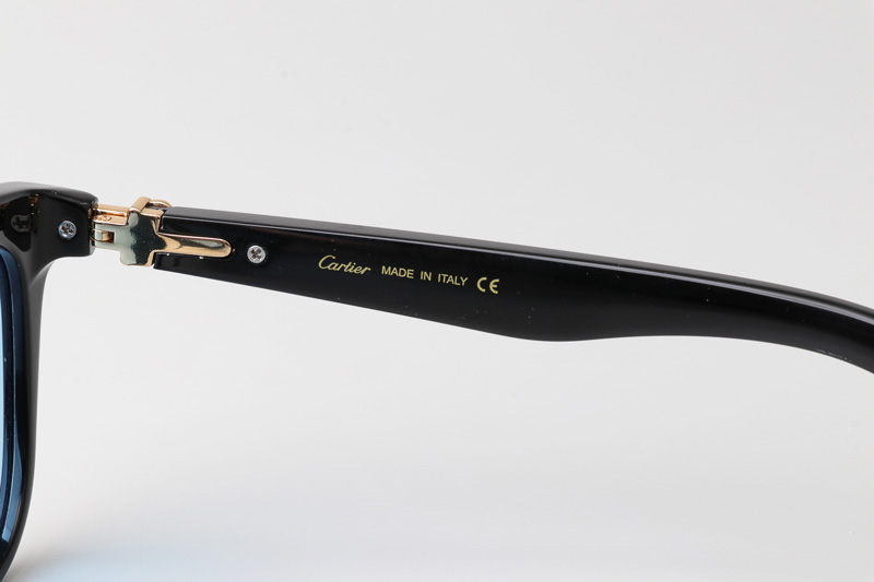 CT0396S Sunglasses Black Gold Blue