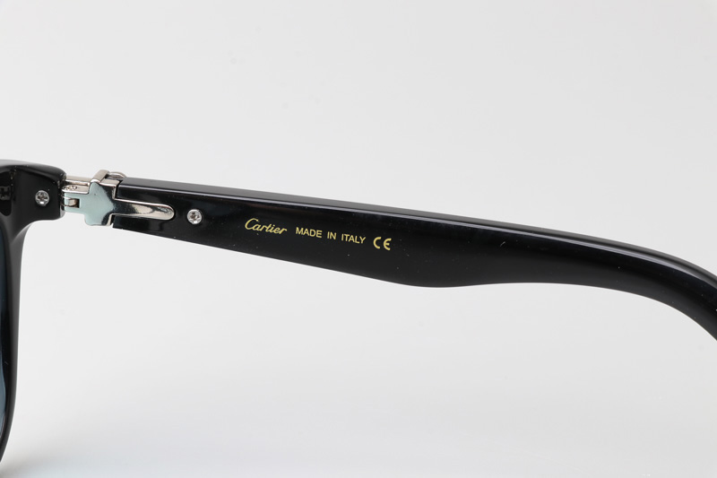 CT0396S Sunglasses Black Silver Blue