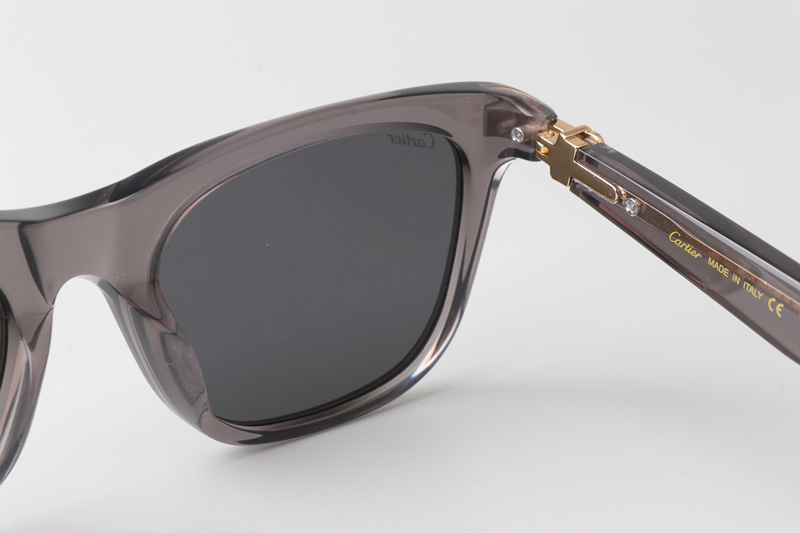 CT0396S Sunglasses Gray Gray