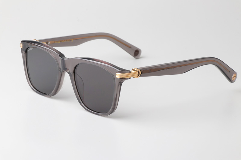 CT0396S Sunglasses Gray Gray