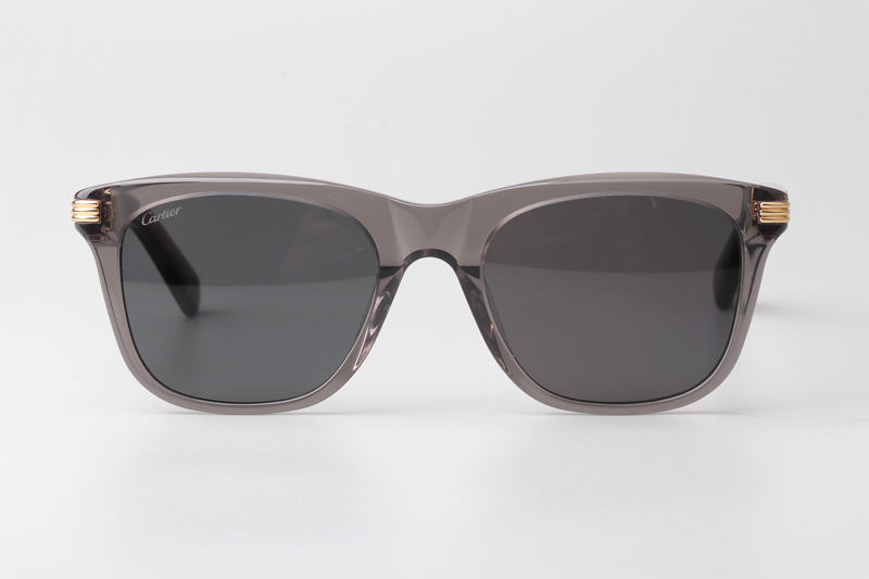 CT0396S Sunglasses Gray Gray