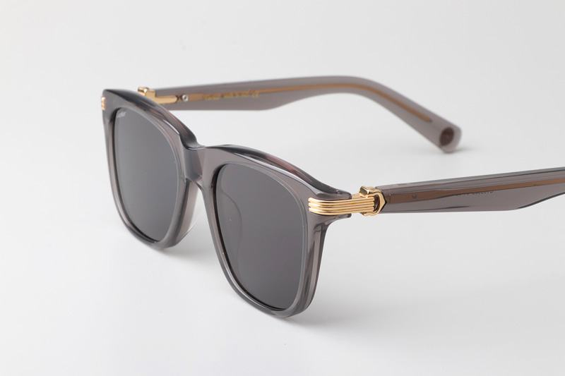 CT0396S Sunglasses Gray Gray