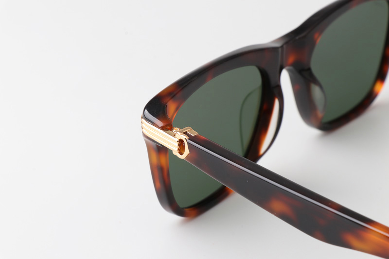 CT0396S Sunglasses Tortoise Green