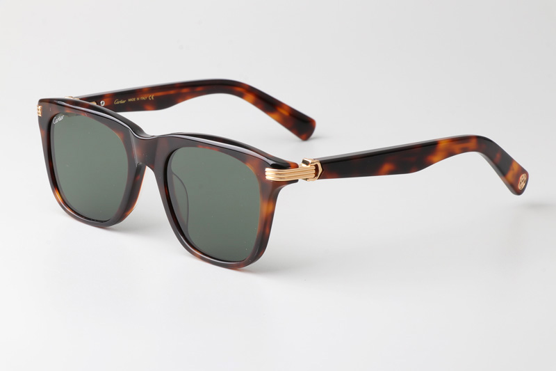 CT0396S Sunglasses Tortoise Green