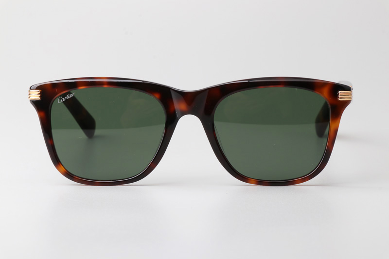 CT0396S Sunglasses Tortoise Green
