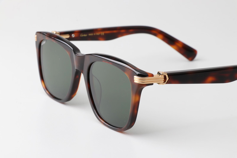 CT0396S Sunglasses Tortoise Green