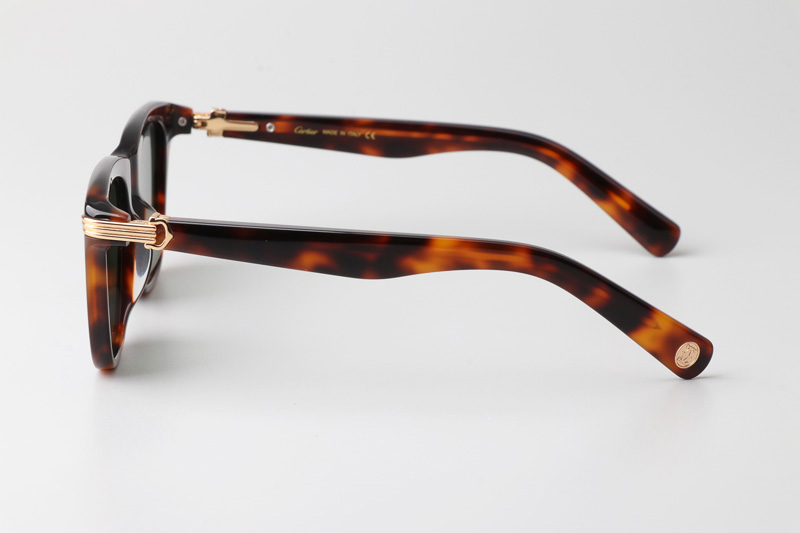 CT0396S Sunglasses Tortoise Green