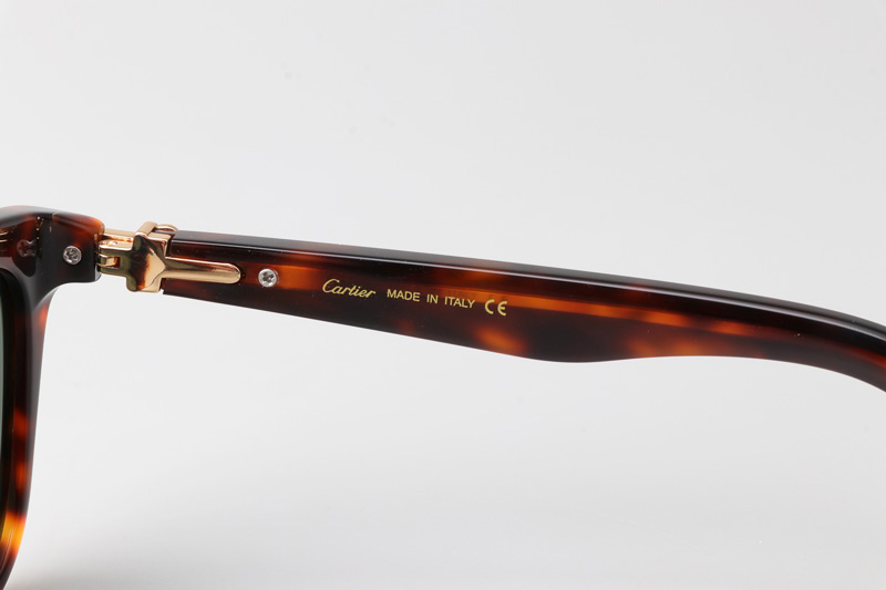 CT0396S Sunglasses Tortoise Green