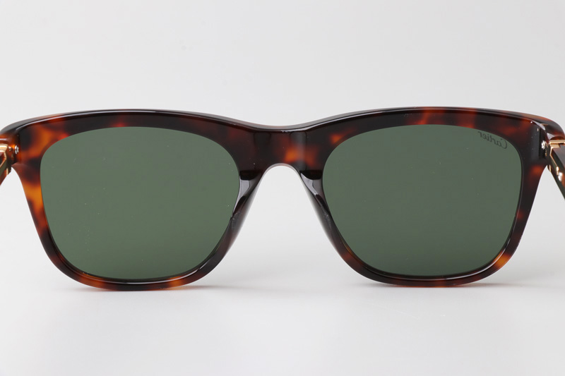 CT0396S Sunglasses Tortoise Green